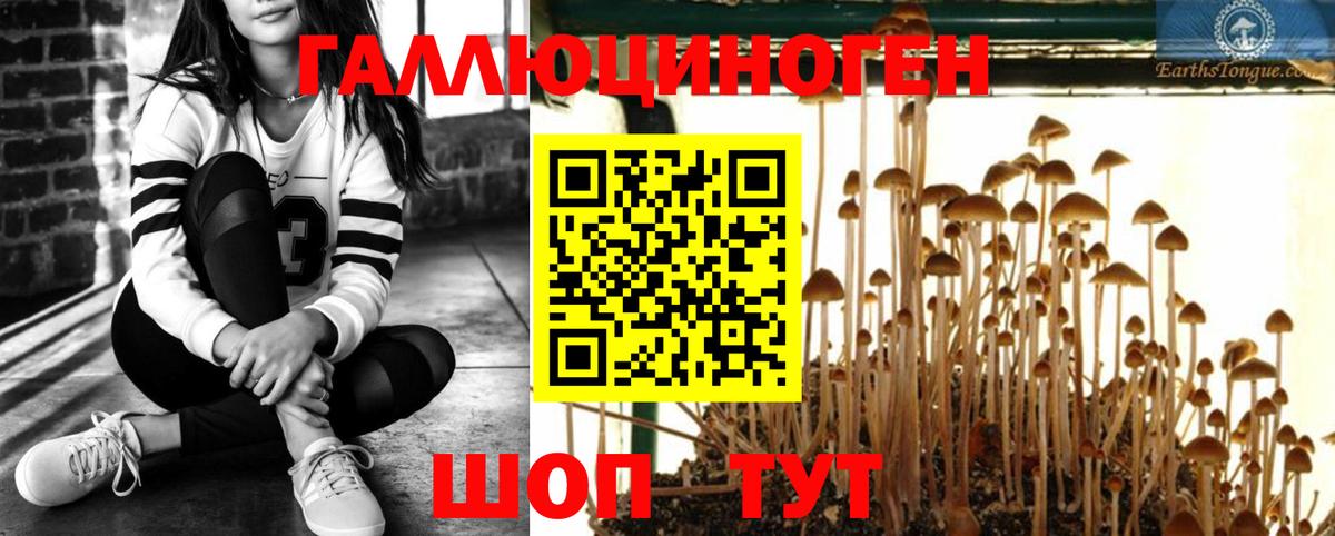 купить   Псилоцибиновые грибы Magic Shrooms  Вход с VPN  Строитель  Псилоцибиновые грибы MAGIC MUSHROOMS 