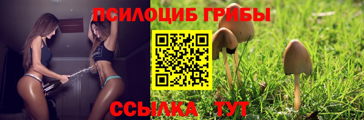 Галлюциногенные грибы мицелий Строитель